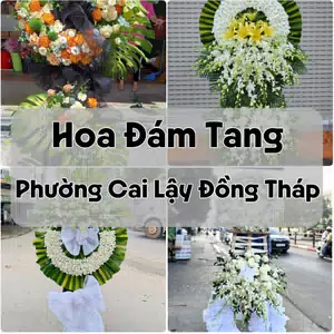 Đặt Hoa Đám Tang Phường Cai Lậy Đồng Tháp | Đặt Hoa Viếng