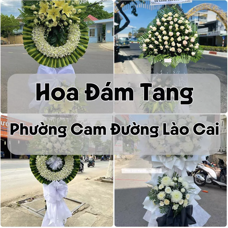 Đặt Hoa Đám Tang Phường Cam Đường Lào Cai | Giao Tận Nơi