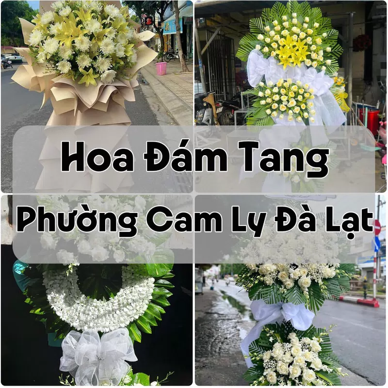 Đặt Hoa Đám Tang Phường Cam Ly Đà Lạt | Giao Tận Nơi