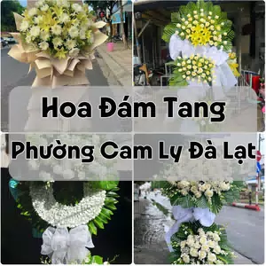 Đặt Hoa Đám Tang Phường Cam Ly Đà Lạt | Giao Tận Nơi