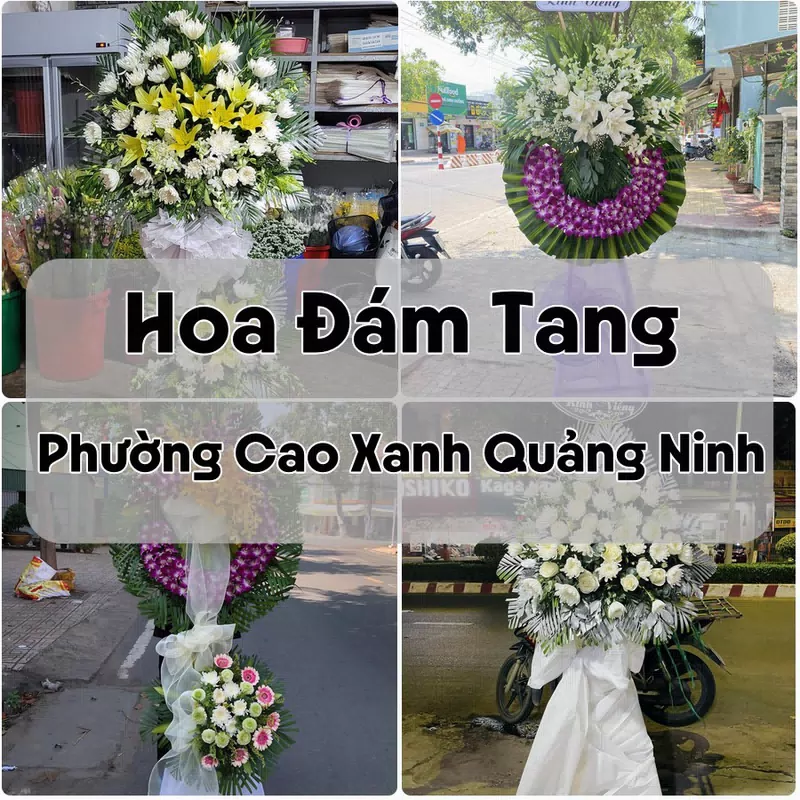 Đặt Hoa Đám Tang Phường Cao Xanh Quảng Ninh | Giao Hoa Nhanh