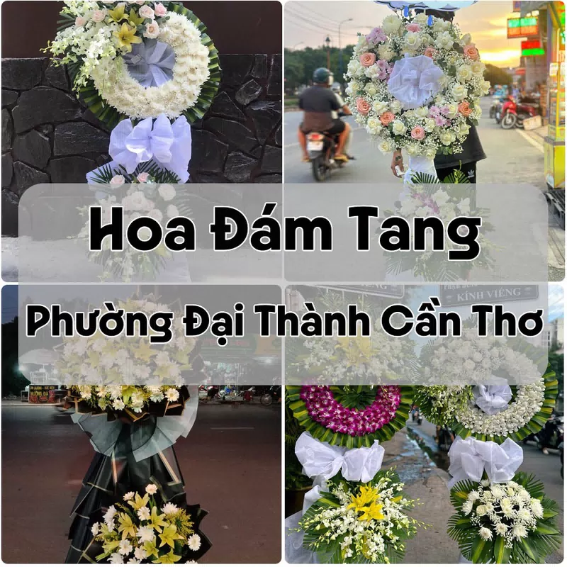 Đặt Hoa Đám Tang Phường Đại Thành Cần Thơ | Hoa Chia Buồn
