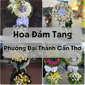 Đặt Hoa Đám Tang Phường Đại Thành Cần Thơ | Hoa Chia Buồn