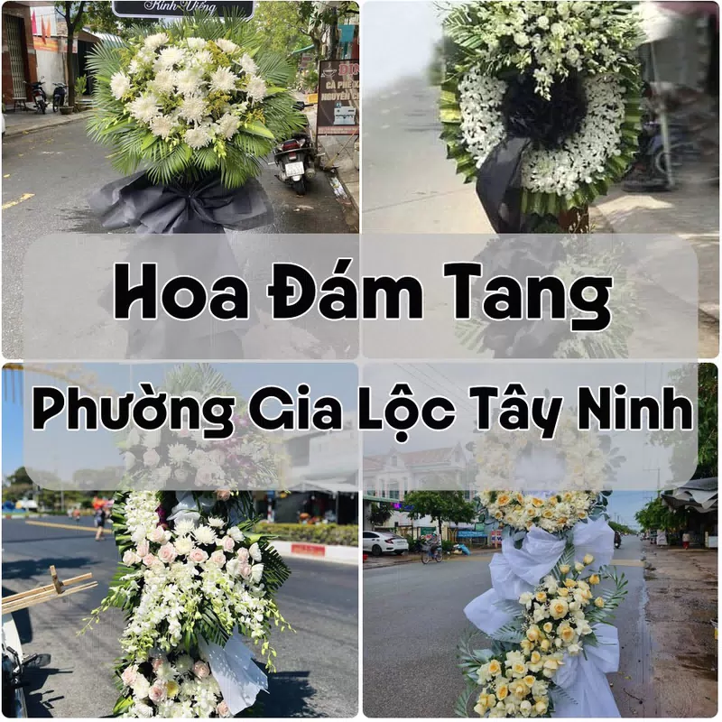 Đặt Hoa Đám Tang Phường Gia Lộc Tây Ninh | Đặt Hoa Viếng