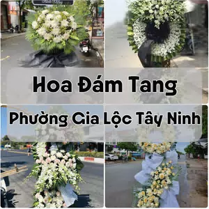 Đặt Hoa Đám Tang Phường Gia Lộc Tây Ninh | Đặt Hoa Viếng