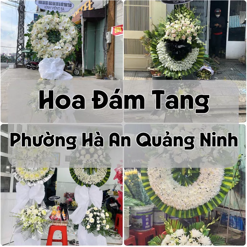 Đặt Hoa Đám Tang Phường Hà An Quảng Ninh | Giao Hoa Nhanh