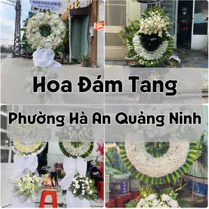 Đặt Hoa Đám Tang Phường Hà An Quảng Ninh | Giao Hoa Nhanh