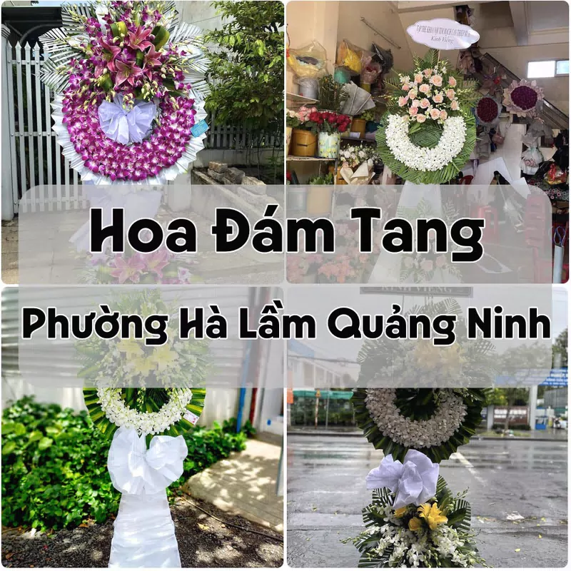 Đặt Hoa Đám Tang Phường Hà Lầm Quảng Ninh | Giao Hoa Nhanh