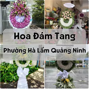 Đặt Hoa Đám Tang Phường Hà Lầm Quảng Ninh | Giao Hoa Nhanh