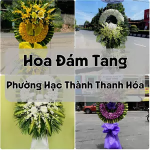 Đặt Hoa Đám Tang Phường Hạc Thành Thanh Hóa | Giao Hoa Nhanh