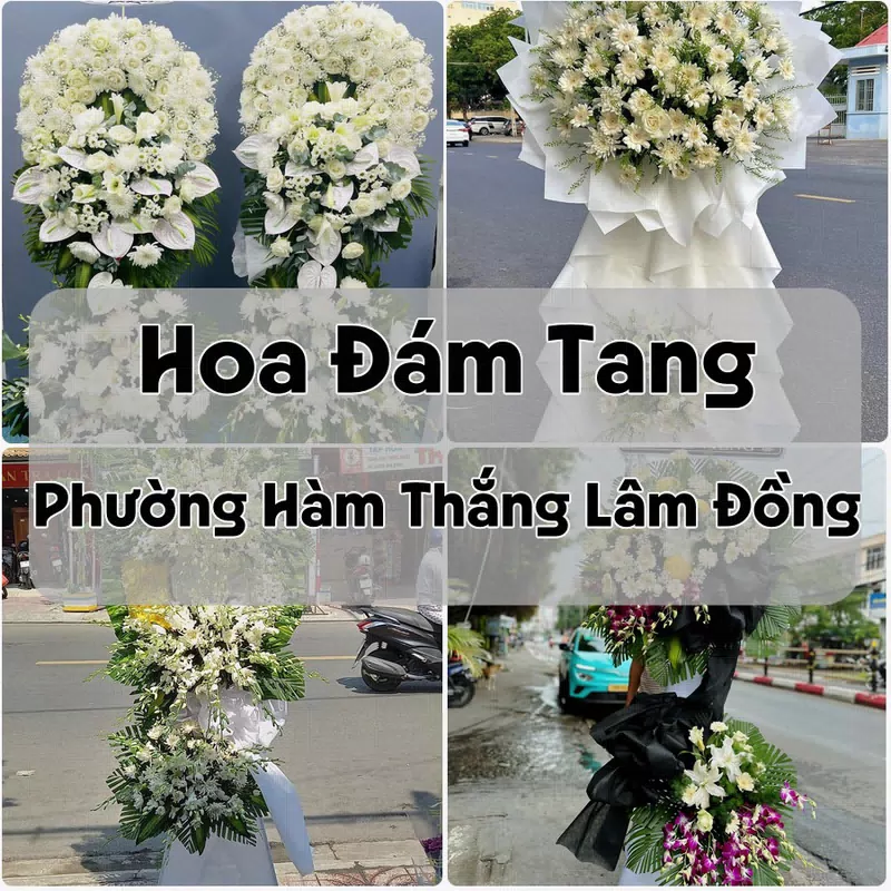 Đặt Hoa Đám Tang Phường Hàm Thắng Lâm Đồng | Hoa Chia Buồn