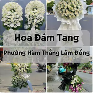 Đặt Hoa Đám Tang Phường Hàm Thắng Lâm Đồng | Hoa Chia Buồn