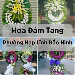 Đặt Hoa Đám Tang Phường Hạp Lĩnh Bắc Ninh | Giao Hoa Nhanh