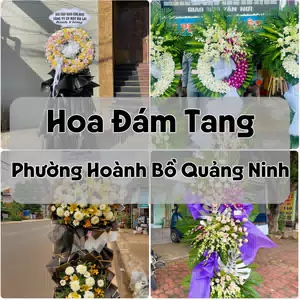 Đặt Hoa Đám Tang Phường Hoành Bồ Quảng Ninh | Giao Tận Nơi