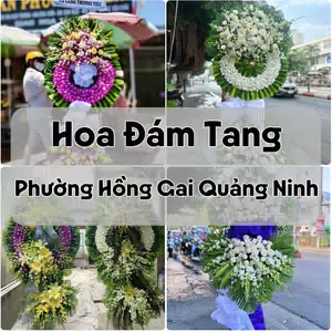 Đặt Hoa Đám Tang Phường Hồng Gai Quảng Ninh | Đặt Hoa Nhanh