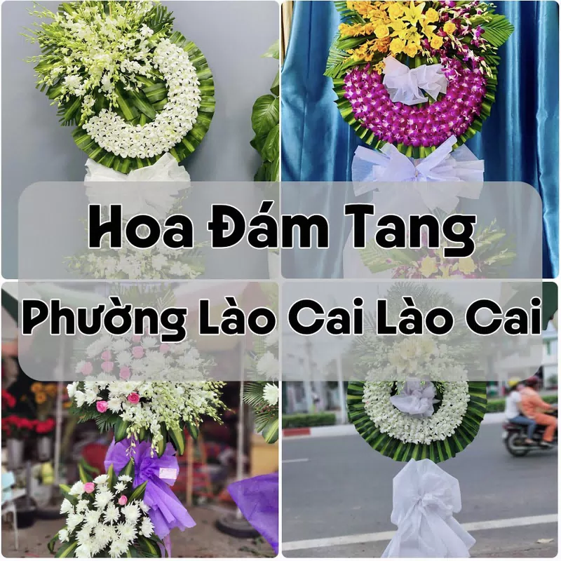 Đặt Hoa Đám Tang Phường Lào Cai Lào Cai | Giao Hoa Nhanh