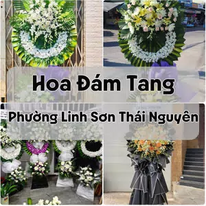 Đặt Hoa Đám Tang Phường Linh Sơn Thái Nguyên | Giao Tận Nơi