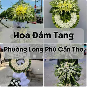 Đặt Hoa Đám Tang Phường Long Phú Cần Thơ | Giao Tận Nơi