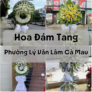 Đặt Hoa Đám Tang Phường Lý Văn Lâm Cà Mau | Hoa Chia Buồn