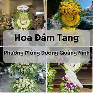 Đặt Hoa Đám Tang Phường Mông Dương Quảng Ninh | Giao Tận Nơi