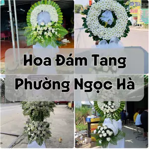 Đặt Hoa Đám Tang Phường Ngọc Hà | Đặt Hoa Viếng