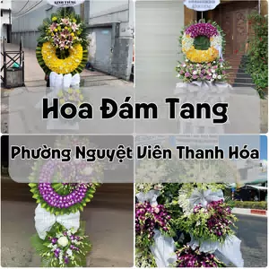 Đặt Hoa Đám Tang Phường Nguyệt Viên Thanh Hóa | Giao Tận Nơi