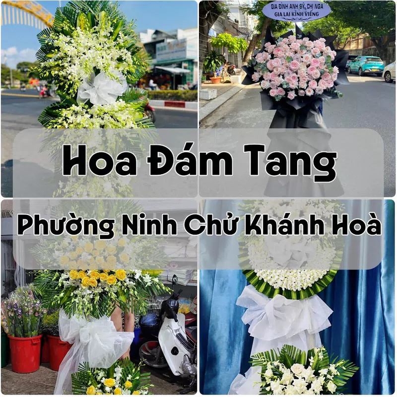 Đặt Hoa Đám Tang Phường Ninh Chử Khánh Hoà | Hoa Chia Buồn