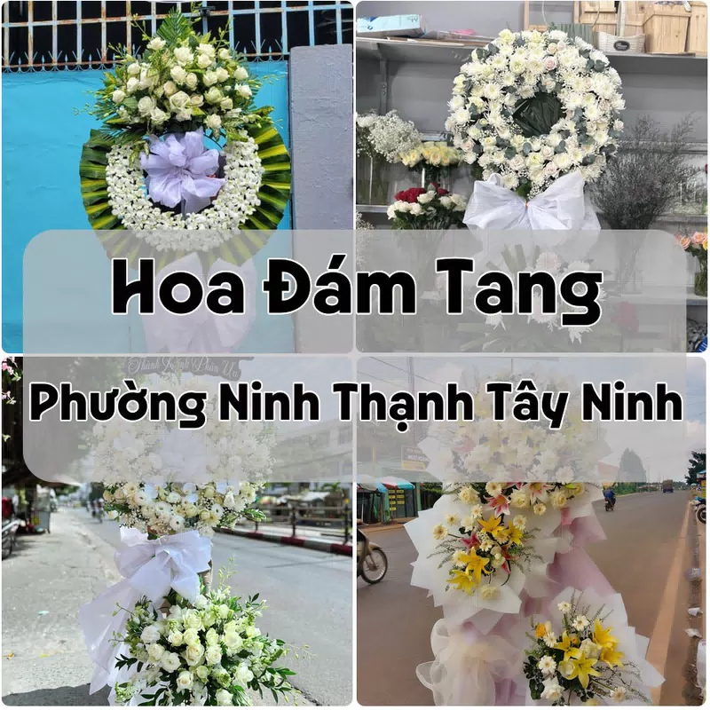 Đặt Hoa Đám Tang Phường Ninh Thạnh Tây Ninh | Giao Hoa Nhanh