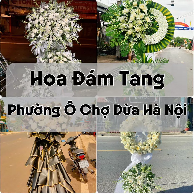 Đặt Hoa Đám Tang Phường Ô Chợ Dừa Hà Nội | Hoa Chia Buồn