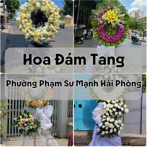 Đặt Hoa Đám Tang Phường Phạm Sư Mạnh Hải Phòng | Hoa Chia Buồn