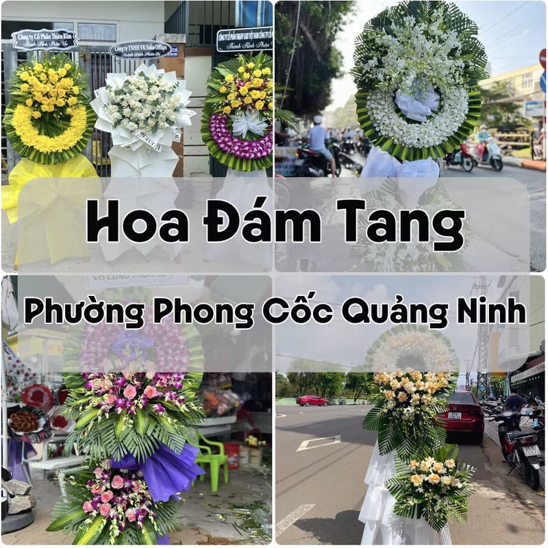 Đặt Hoa Đám Tang Phường Phong Cốc Quảng Ninh | Hoa Chia Buồn