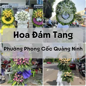 Đặt Hoa Đám Tang Phường Phong Cốc Quảng Ninh | Hoa Chia Buồn