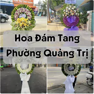 Đặt Hoa Đám Tang Phường Quảng Trị | Giao Tận Nơi