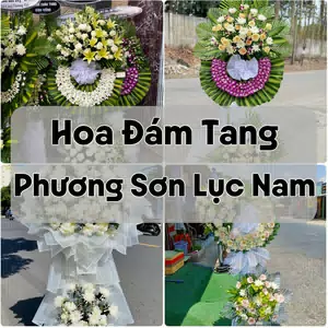 Đặt Hoa Đám Tang Phương Sơn Lục Nam | Giao Hoa Nhanh