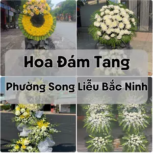 Đặt Hoa Đám Tang Phường Song Liễu Bắc Ninh | Hoa Chia Buồn
