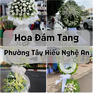 Đặt Hoa Đám Tang Phường Tây Hiếu Nghệ An | Giao Hoa Nhanh