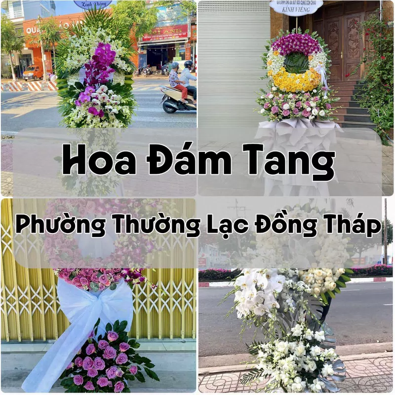Đặt Hoa Đám Tang Phường Thường Lạc Đồng Tháp | Đặt Hoa Nhanh