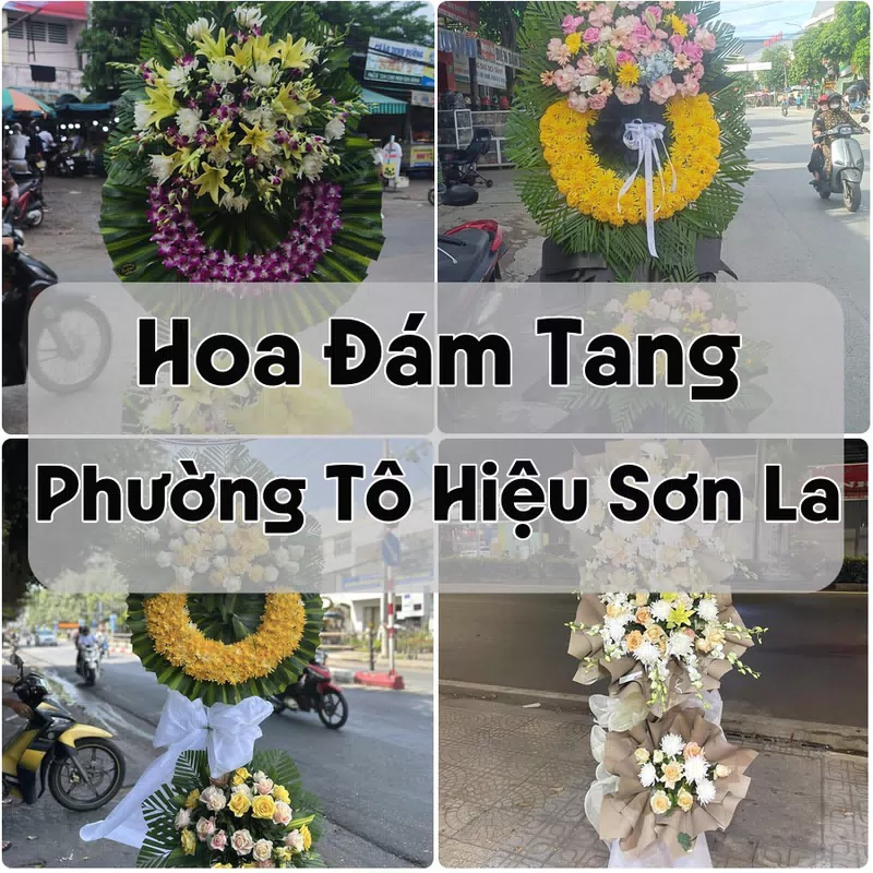 Đặt Hoa Đám Tang Phường Tô Hiệu Sơn La | Đặt Hoa Viếng