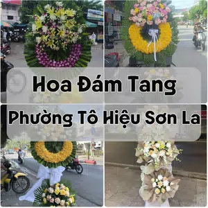 Đặt Hoa Đám Tang Phường Tô Hiệu Sơn La | Đặt Hoa Viếng