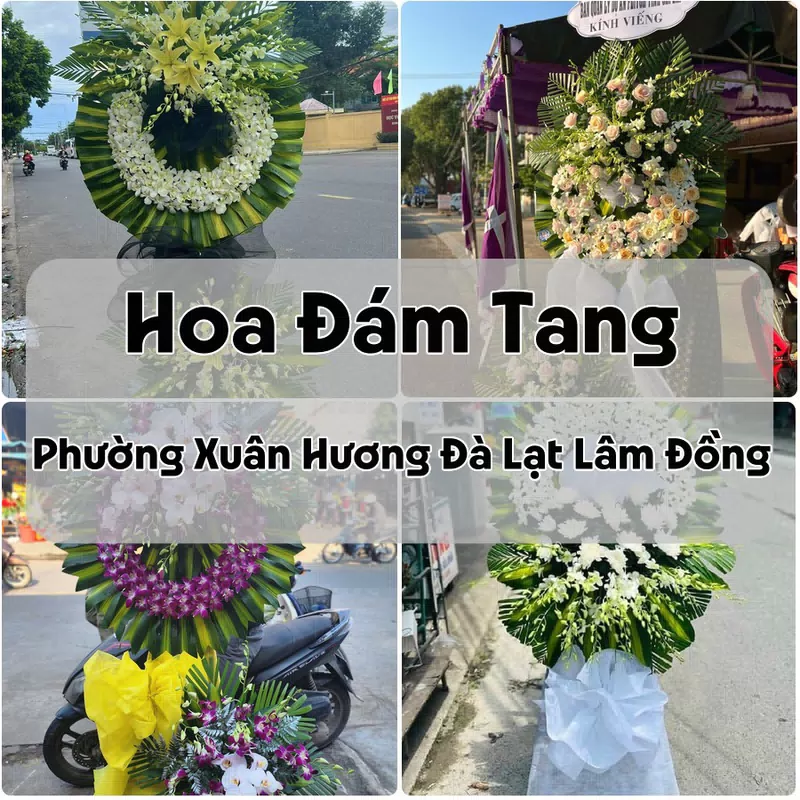 Đặt Hoa Đám Tang Phường Xuân Hương Đà Lạt Lâm Đồng | Giao Tận Nơi