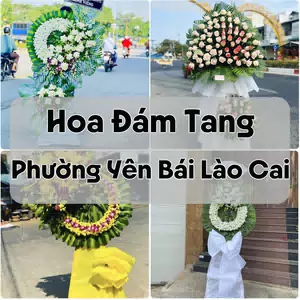 Đặt Hoa Đám Tang Phường Yên Bái Lào Cai | Hoa Chia Buồn