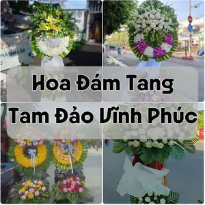 Đặt Hoa Đám Tang Tam Đảo Vĩnh Phúc | Giao Hoa Nhanh