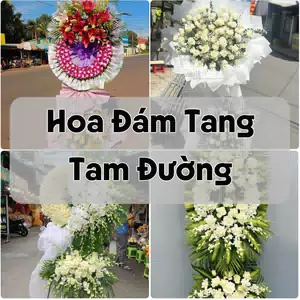Đặt Hoa Đám Tang Tam Đường | Giao Tận Nơi
