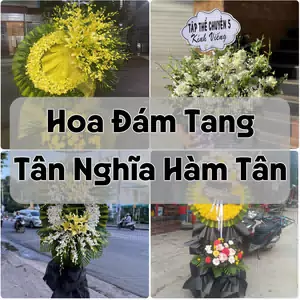 Đặt Hoa Đám Tang Tân Nghĩa Hàm Tân | Hoa Chia Buồn