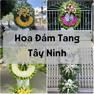 Đặt Hoa Đám Tang Tây Ninh | Giao Tận Nơi