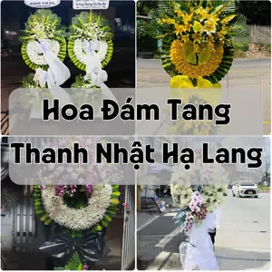 Đặt Hoa Đám Tang Thanh Nhật Hạ Lang | Đặt Hoa Nhanh