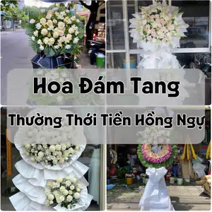 Đặt Hoa Đám Tang Thường Thới Tiền Hồng Ngự | Hoa Tang Lễ