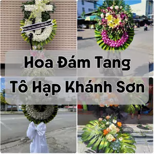 Đặt Hoa Đám Tang Tô Hạp Khánh Sơn | Giao Tận Nơi