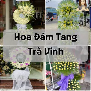 Đặt Hoa Đám Tang Trà Vinh | Đặt Hoa Nhanh