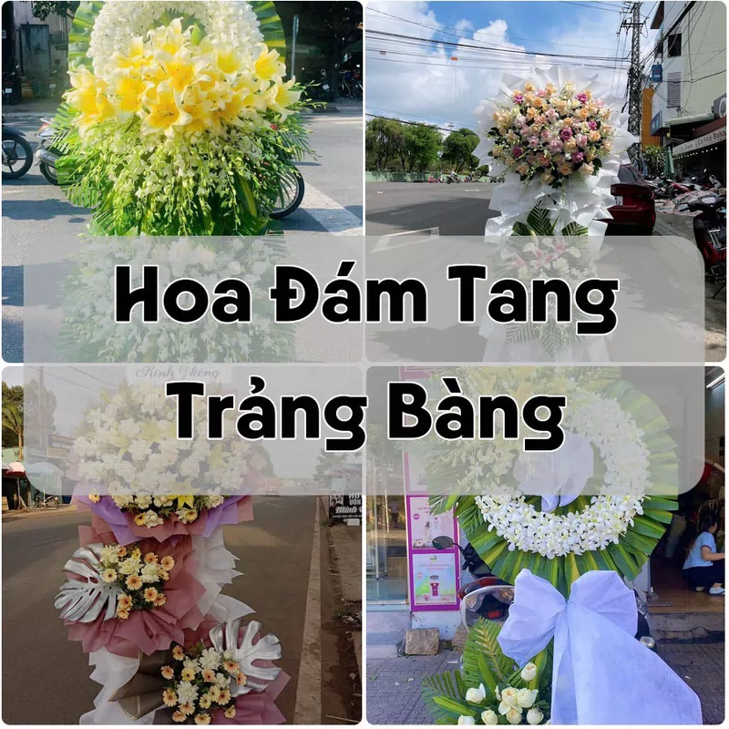 Đặt Hoa Đám Tang Trảng Bàng | Hoa Chia Buồn